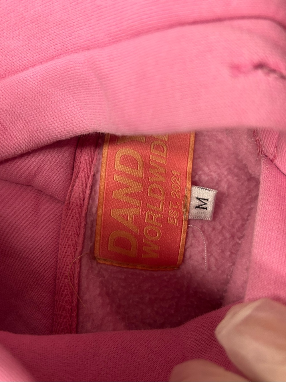 Dandy Worldwide Hoodie - Picture 3 of 3